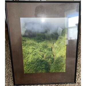 Rainforest, Matted (Brown) and Framed (Black) Art Print 16x20 in